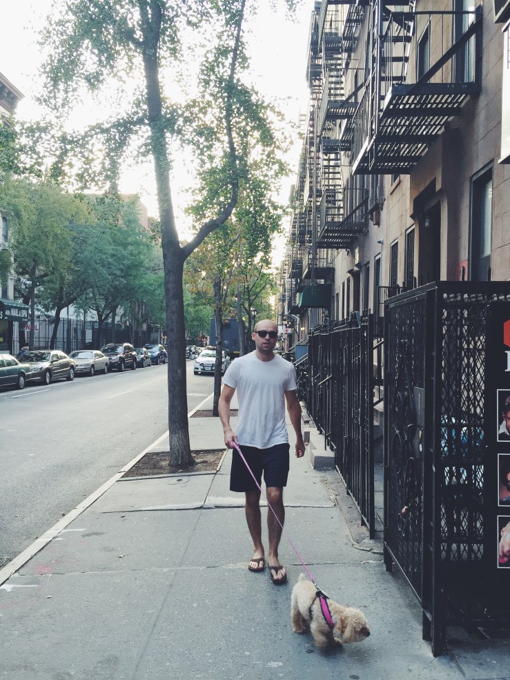 Thom Walking Chloe the Toy Poodle