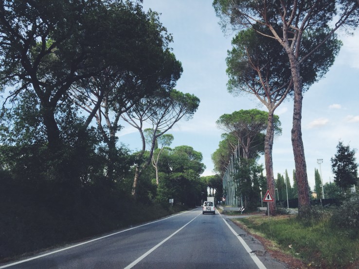 The road into Tuscany. 
