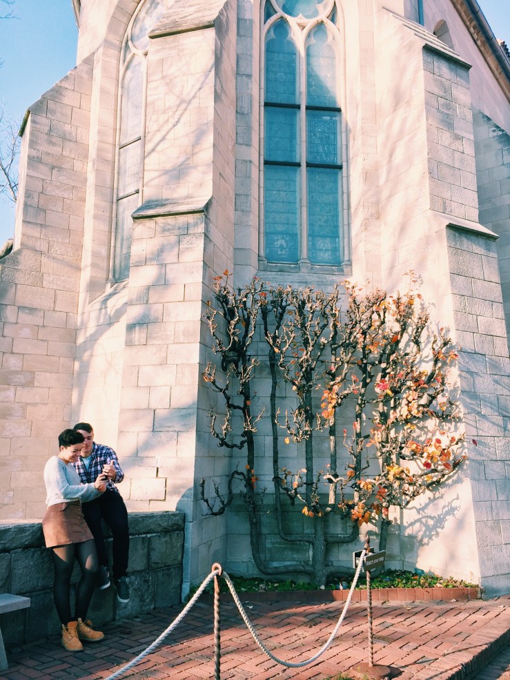 Visiting the Met Cloisters in Winter