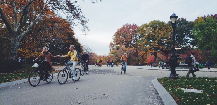 Very Highbrow New York