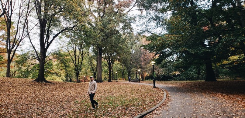 Processed with VSCO with a6 preset