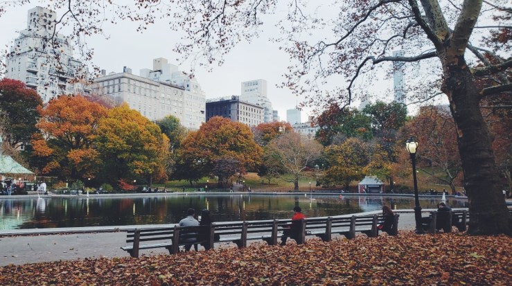 Very Highbrow New York