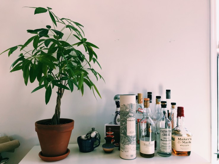 Processed with VSCO with c1 preset