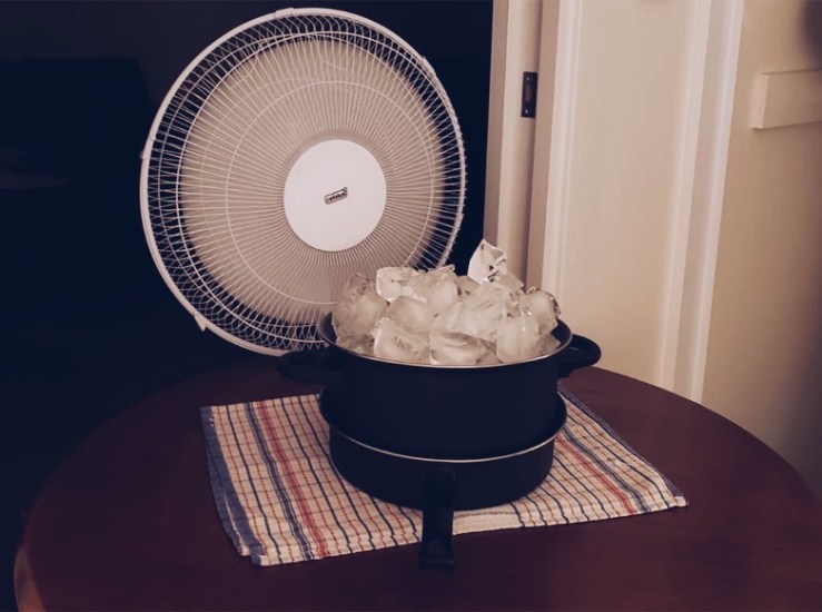 What to do in Newtown Sydney 