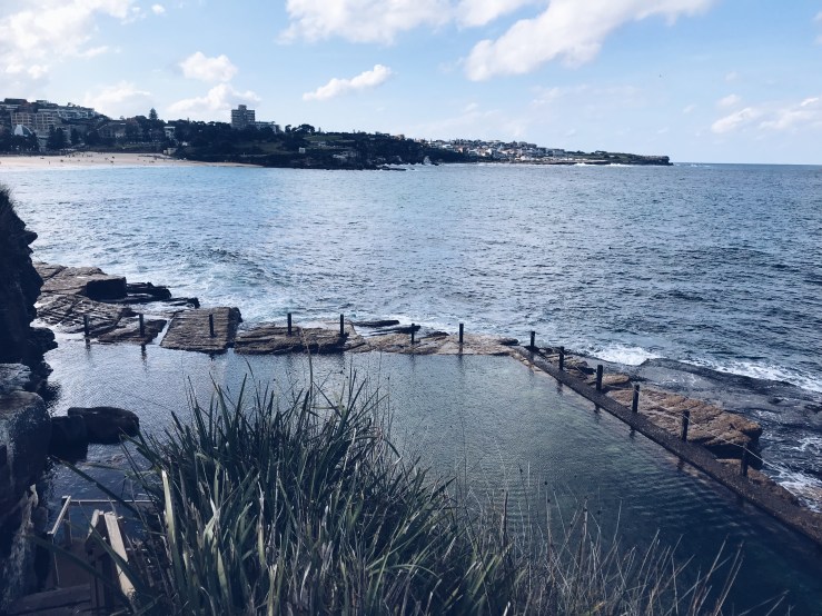 No one swimming at McIver's Ladie's and Children's Pool