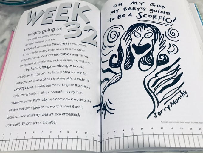 Up the Duff by Kaz Cooke