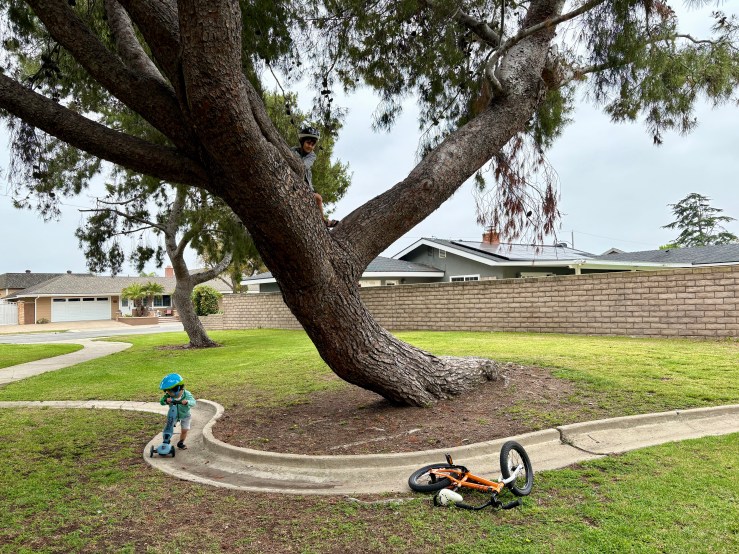 Free range parenting